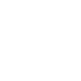 干屄网